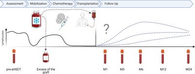 NK Cells and Innate-Like T Cells After Autologous Hematopoietic Stem Cell Transplantation in Multiple Sclerosis